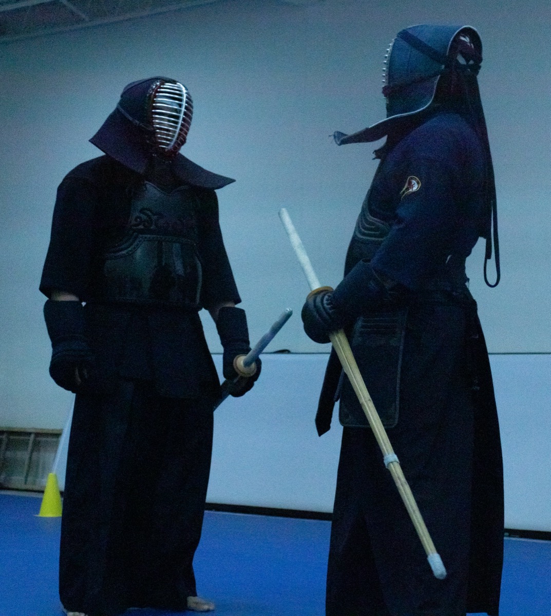 Combate con bogu completo